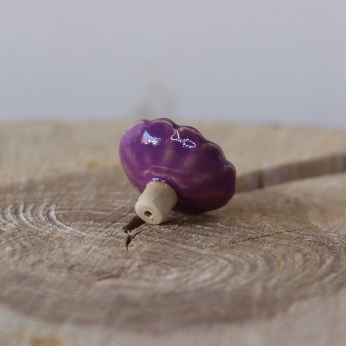 Bikop, Lilla sommerblomst