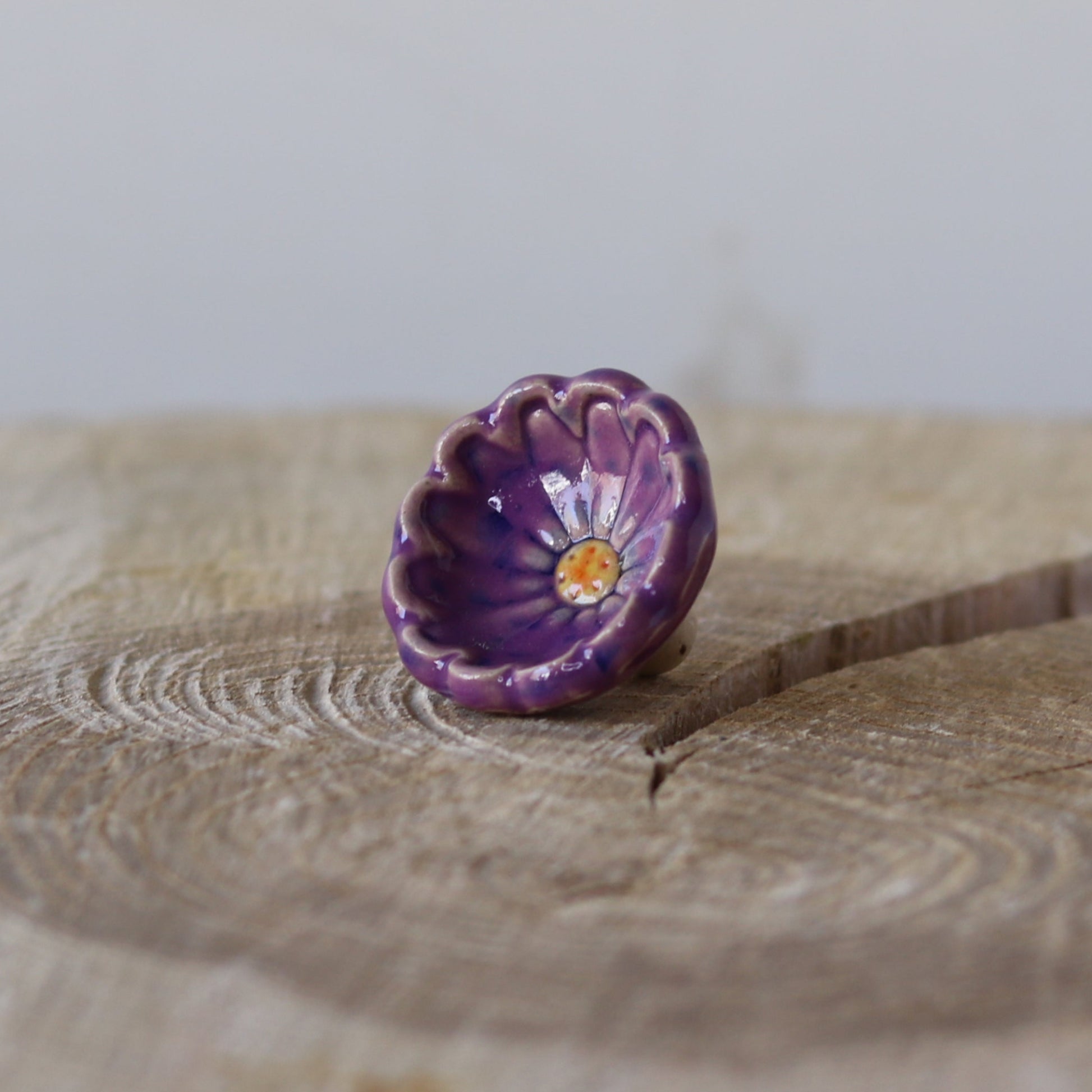 Bikop, Lilla sommerblomst