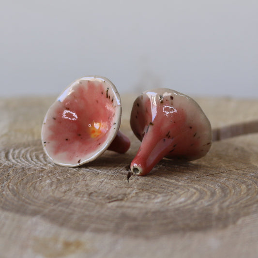 Bikop, Lyserød tragtformet blomst, ovenfra