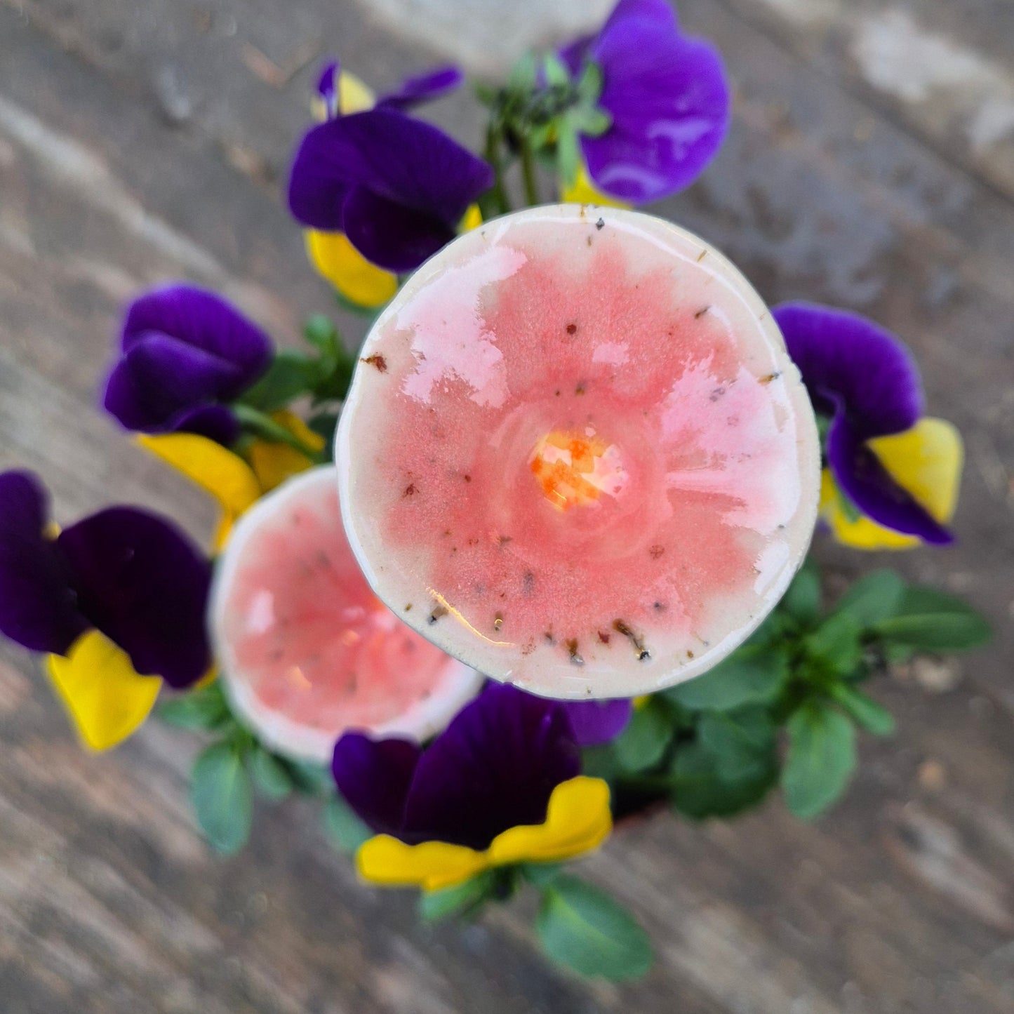 Bikop, Lyserød tragtformet blomst
