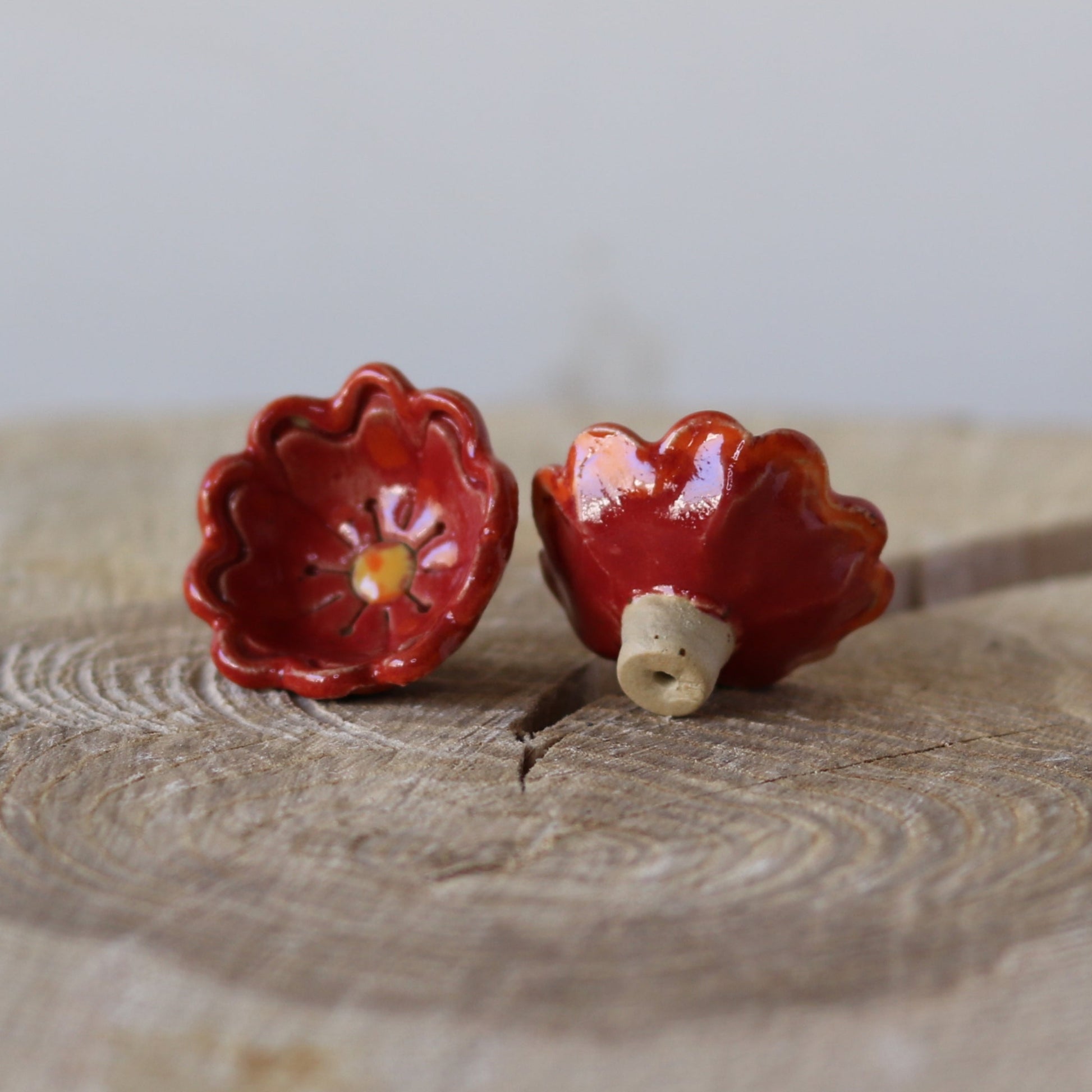 Bikop, enkelt rød sommerblomst