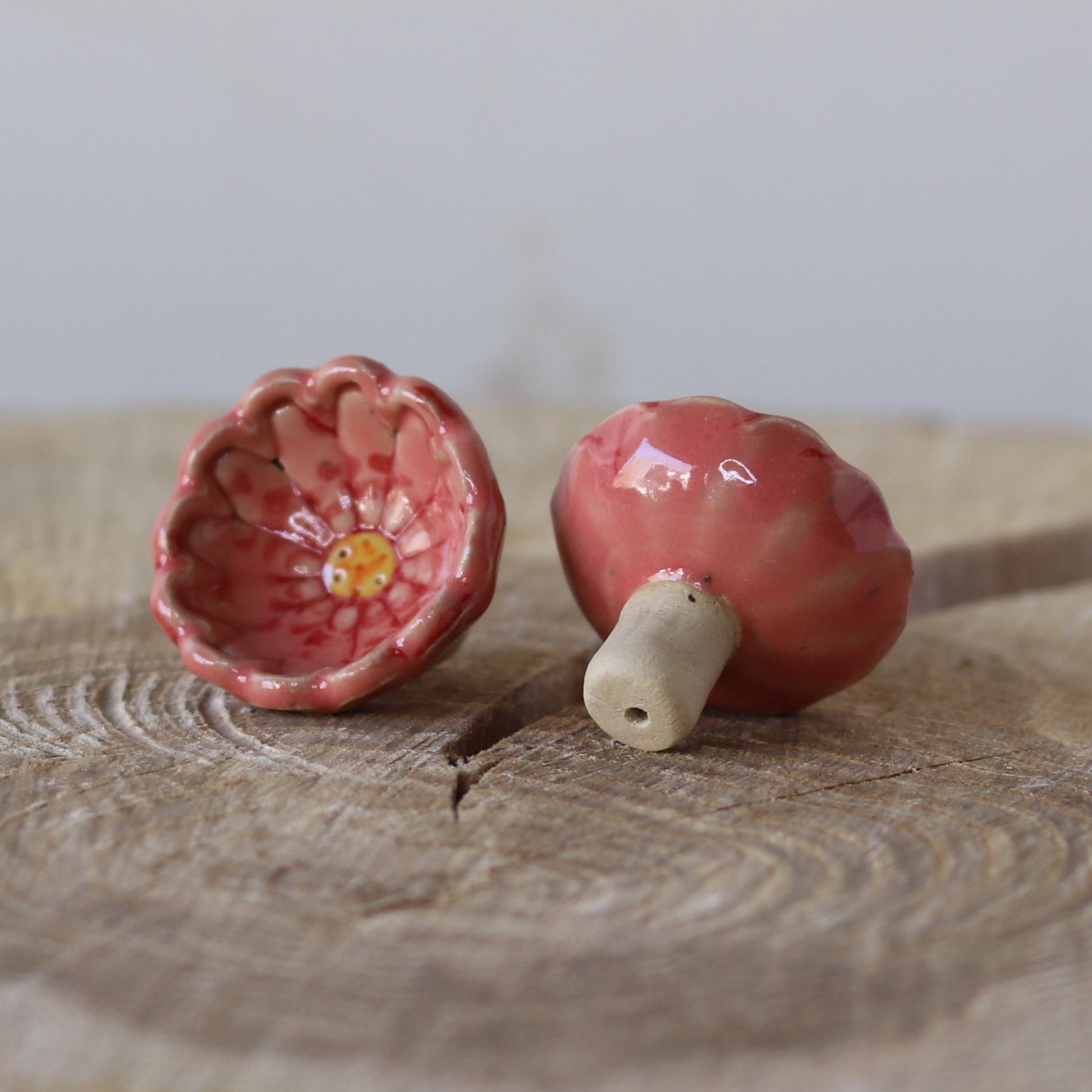 Bikop, lyserød sommerblomst